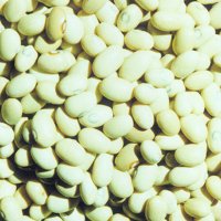 Sell Round Yellow Kidney Beans (Japan Beans)
