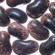 Sell Large Dark Kidney Beans