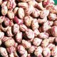 Light Speckle Kidney Beans Round Shape