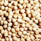 Chick Peas