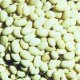 Round Yellow Kidney Beans (Japan Beans)