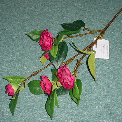 28 inches CAMELLA SPRAY