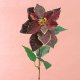 Artifical Flower