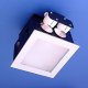 Sell Compact Fixed Downlight SIZ012