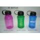 Sport Bottle