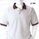 Men's Polo Shirt