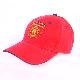6 panel cotton twill cap