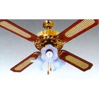 Ceiling Fan