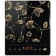 Induction Cooker