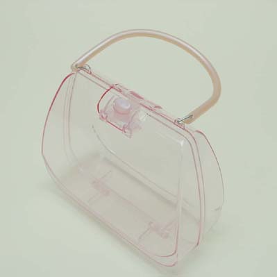 Beauty Case