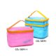Cooler Bag