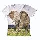 SUBLIMATION SHORT SLEEVE TEE, TPS-9040