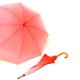 Logo Printing Umbrella