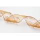 Sell Ultrasonic Seamed Ribbon