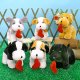 Valentines dog with heart, 6 assorted color, 20827