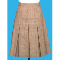 Check skirt