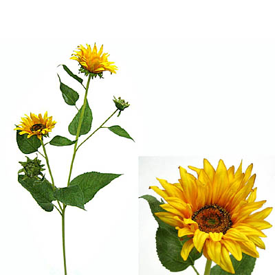 Stem Flowers