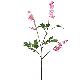 Stem Flowers
