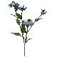 Stem Flowers, 1312LDBF