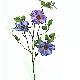 Stem Flowers, 1321DAF