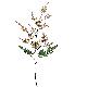 Stem Flowers, 1327AG