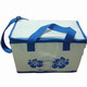 Cooler Bag