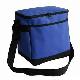 420D Cooler Bag
