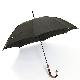 65CM (BJ) Auto Open Super Light Long Umbrella, GF-1020
