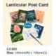 LENTICULAR POST CARD, LC-023