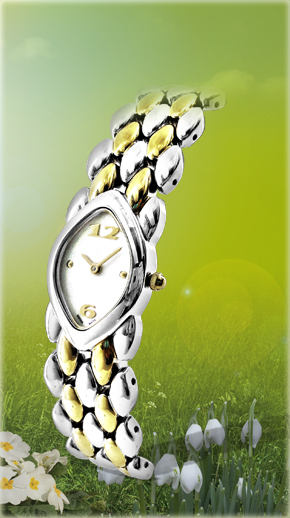 SPRING Precise Metal Band Two Hands Arabic Numerals Ladies' Analog Watch