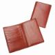 Passport Holder, dev#8710507