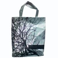 PP woven Shopping Bag