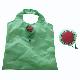 Watermelon Bag Reusable Tote Bag, RT 002