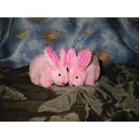 Rabbit toys