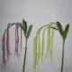 Artificial Grass