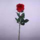 Artificial Flower, DSJF-0248