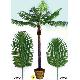 108 inches PHOENIX PALM X 12 LVS W/REAL TRUNK, 102HVT15F