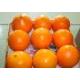 Navel Orange