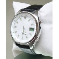 Stainless Steel Solar Rechargeable Radio-controlled Wristwatch