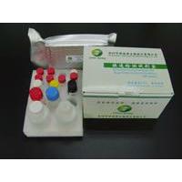 Semicarbazide (SEM) ELISA Test Kit