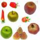 Artificial Fruit