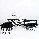 Lip Stick Case, Cosmetic Case & Bag