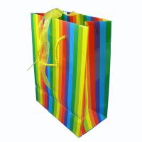 Paper Shopping Bag