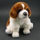 Plush Dog