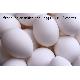 Farm Fresh White Shell Eggs