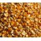 Offer To Sell Yellow Corn