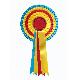 Award Ribbon Rosette