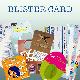 Blister Card