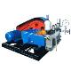 3DPAM Series Polymer Injection Pump