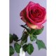 Artificial Floral Products